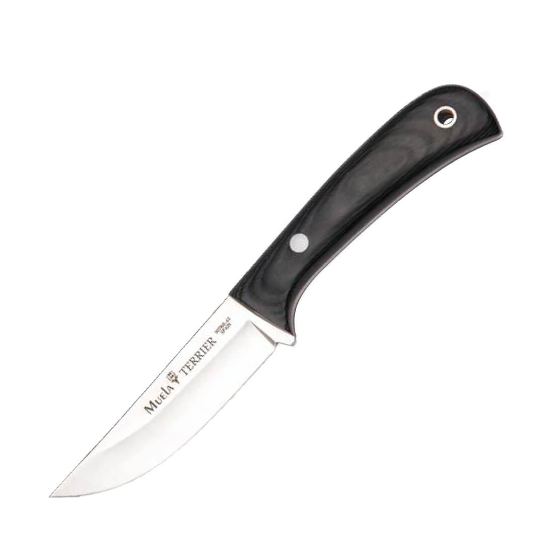 Cuchillo Muela Terrier con cachas de micarta negra y funda kydex