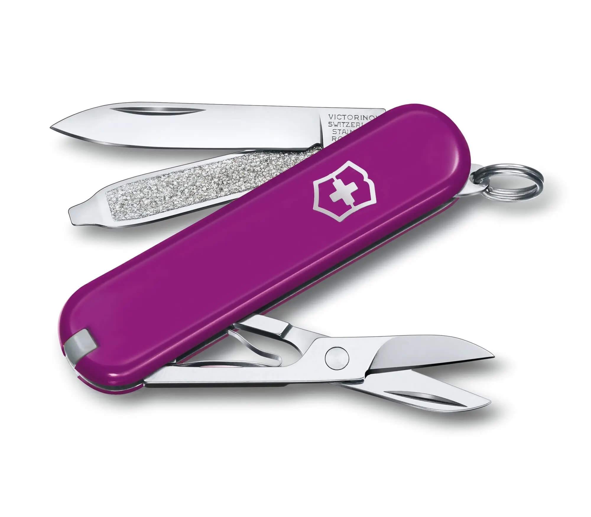 Schweizer Armee-Messer Victorinox Classic SD Tasty Grape