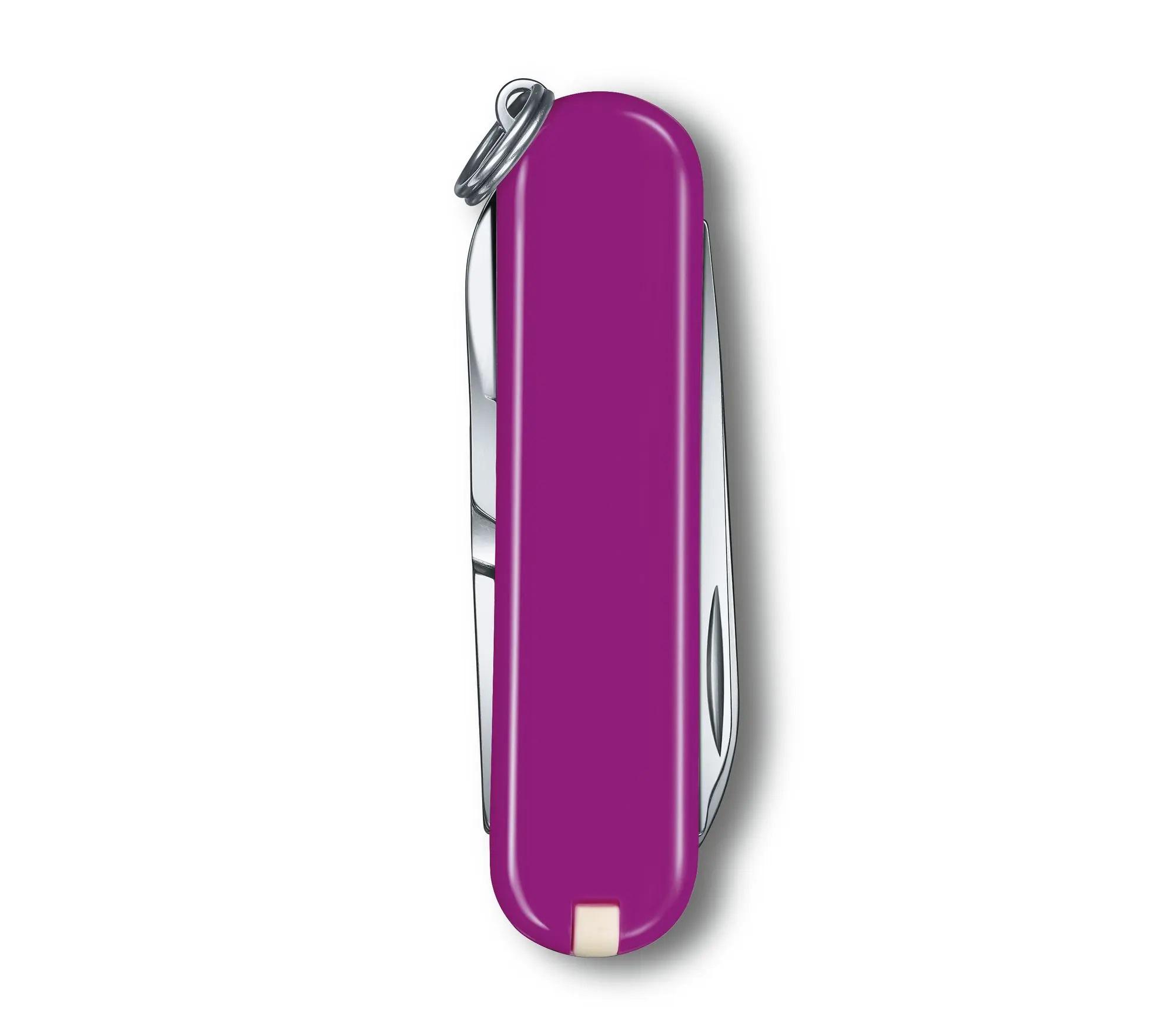 Schweizer Armee-Messer Victorinox Classic SD Tasty Grape
