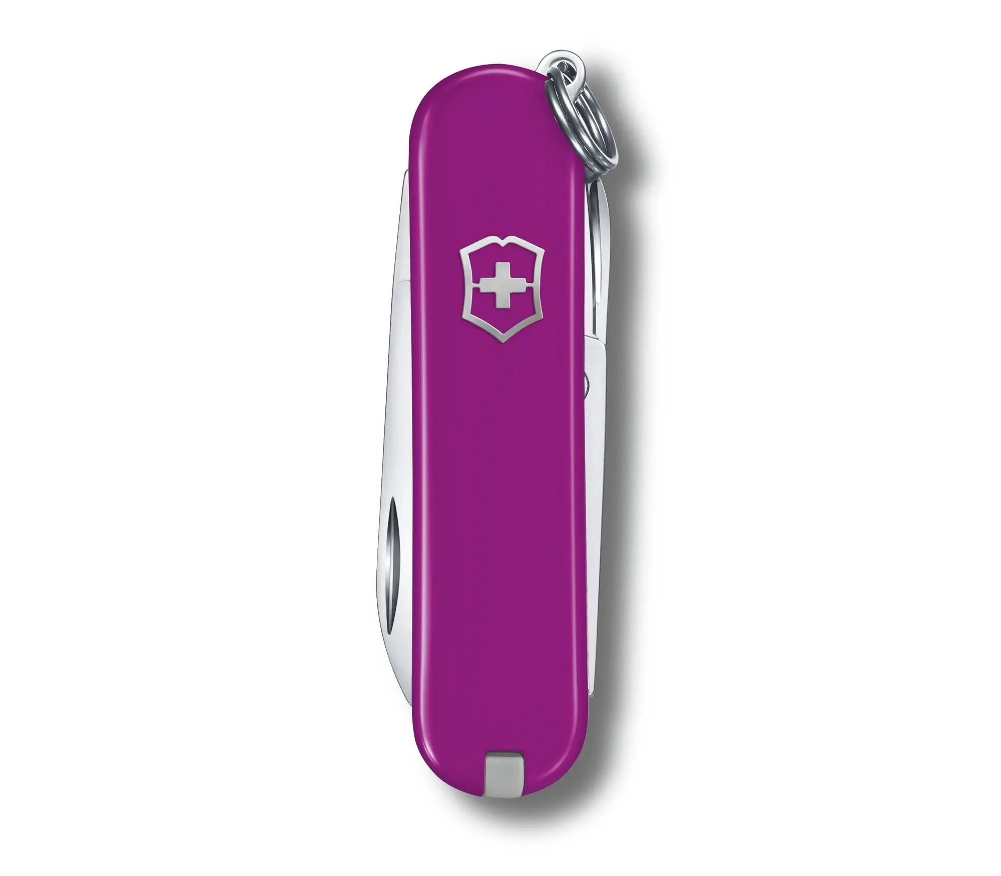 Schweizer Armee-Messer Victorinox Classic SD Tasty Grape