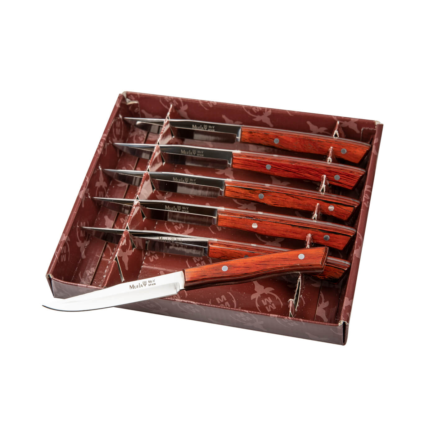 Cuchillo de mesa Muela J-MA-10R con mango de madera prensada cora...