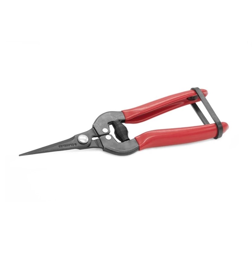 Tijera limpia uvas agricultura 19 cm 3 Claveles