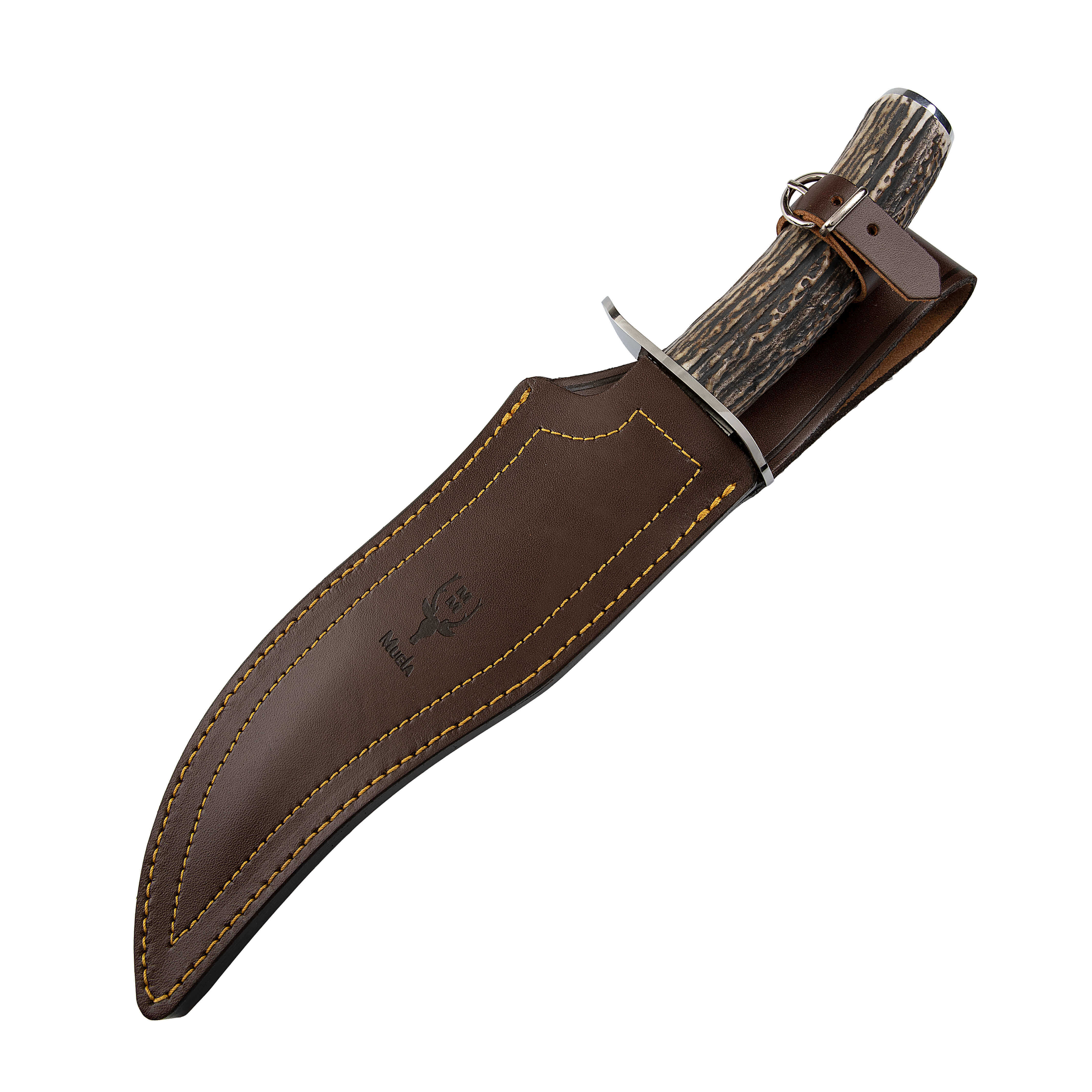 Muela Lobo23A un couteau de chasse avec manche en bois de cerf et lame de 23 cm