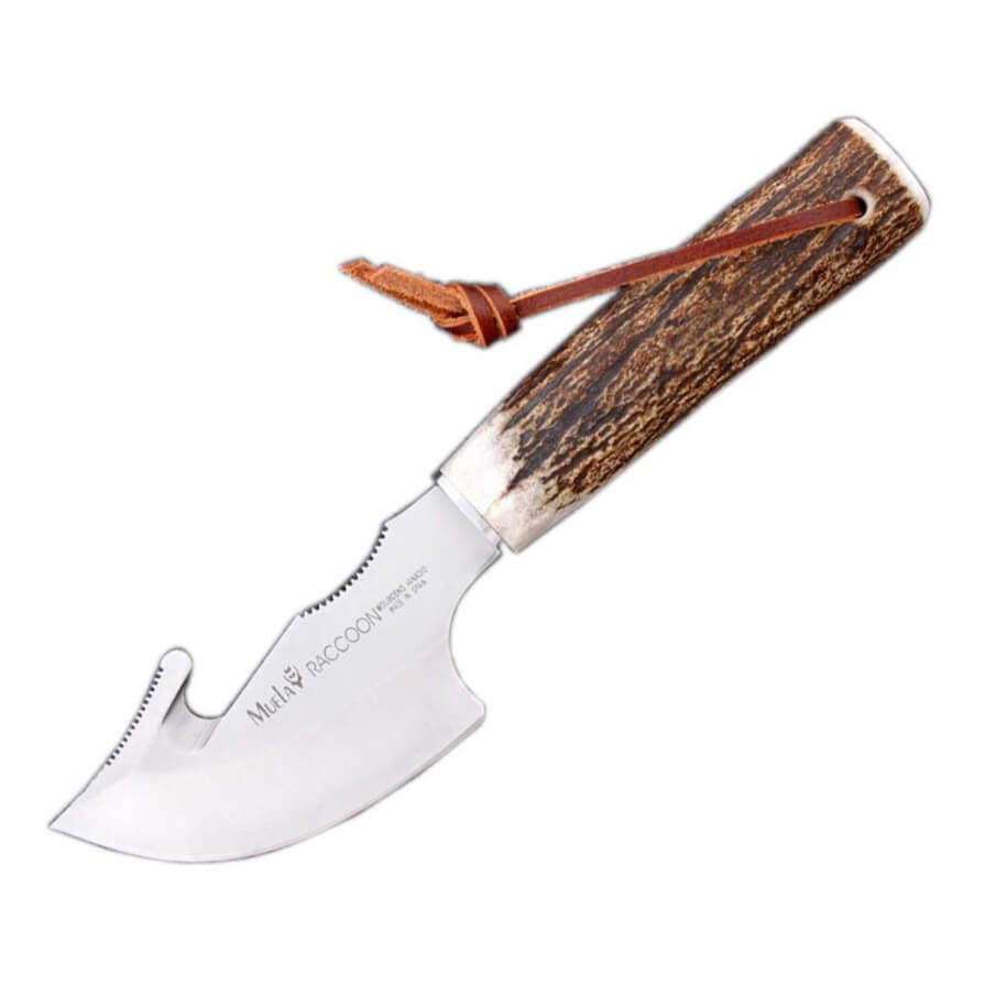 Cuchillo de caza Muela Raccoon-8A con mango de asta de ciervo y h...
