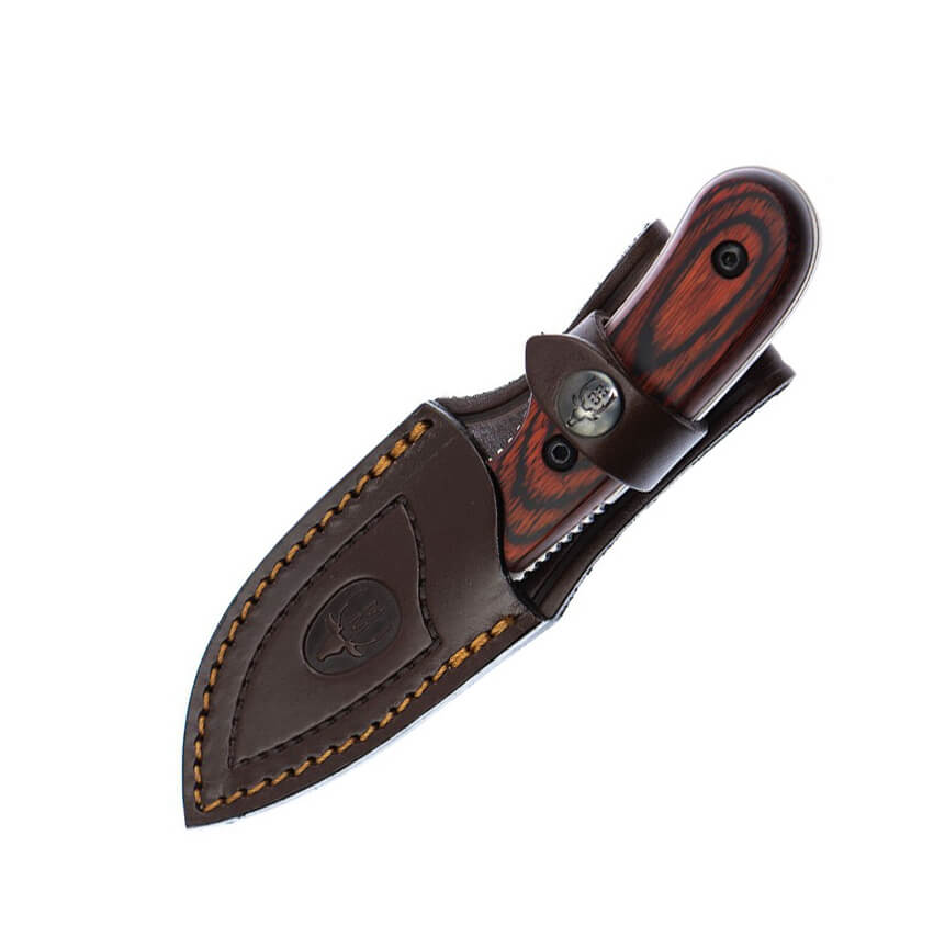 Couteau à dépecer Muela Ibex avec manche en endurance et lame de 7,5 cm