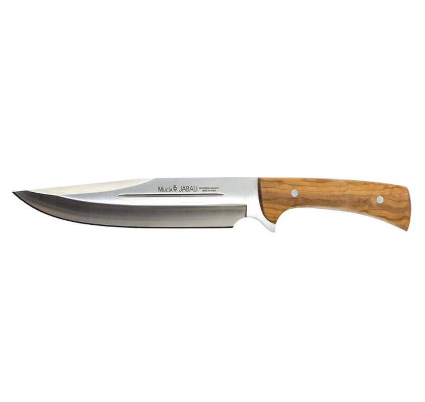 Cuchillo de caza Muela Jabali con mango de madera de olivo y hoja de acero Molibdeno Vanadio de 21 cm