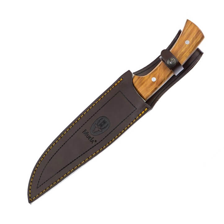 Cuchillo de caza Muela Jabali con mango de madera de olivo y hoja de acero Molibdeno Vanadio de 21 cm