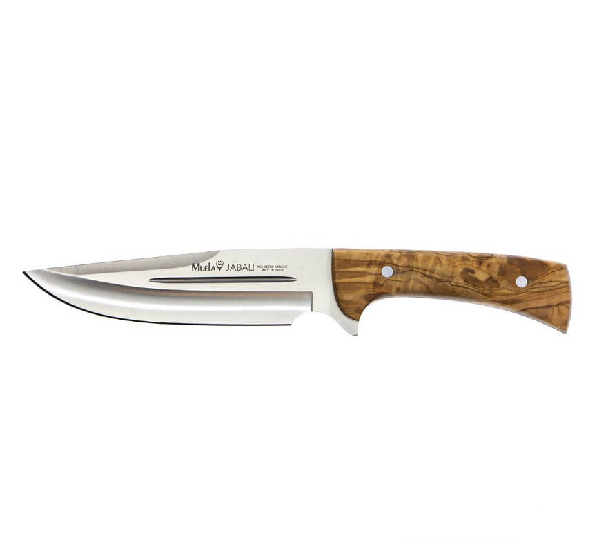 Cuchillo de caza Muela Jabali con mango de madera de olivo y hoja de acero Molibdeno Vanadio de 17 cm