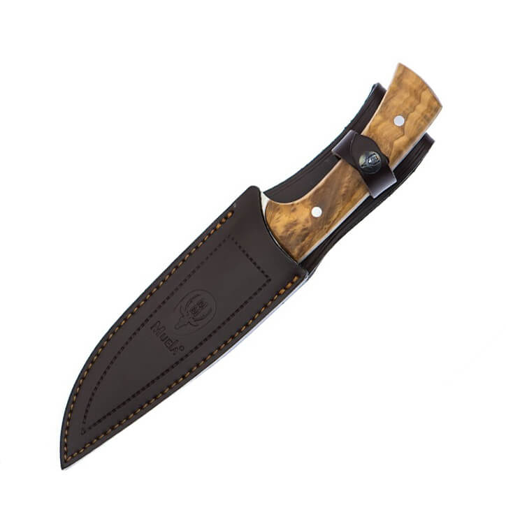 Cuchillo de caza Muela Jabali con mango de madera de olivo y hoja de acero Molibdeno Vanadio de 17 cm