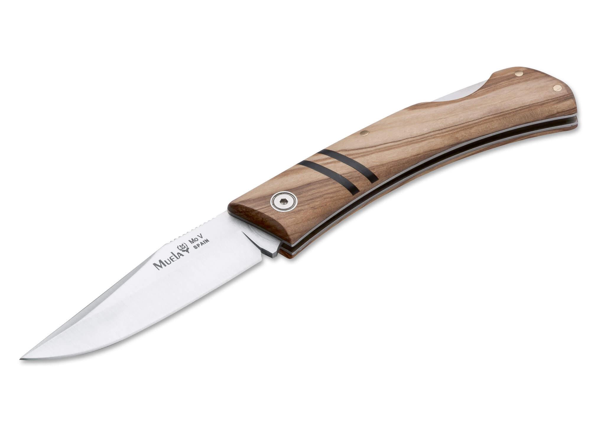 Navaja de bolsillo Muela ZX 8OL con mango de madera de olivo